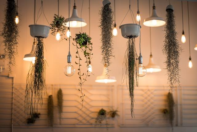 Landscape Design 101: Transforming Your Yard into a Scenic Oasis
