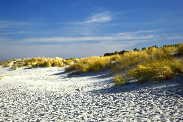 Coastal Escape: Nautical Decor Ideas for a Beachy Feel